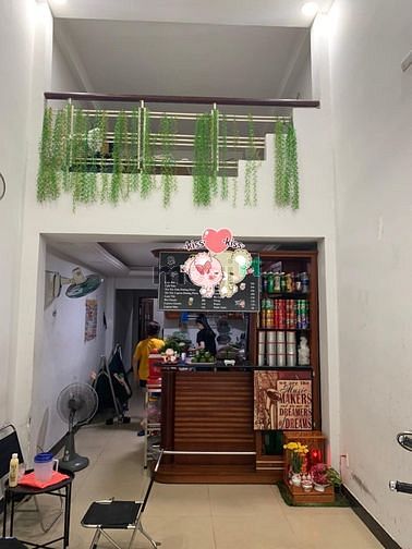4110105 ảnh đại diện 2