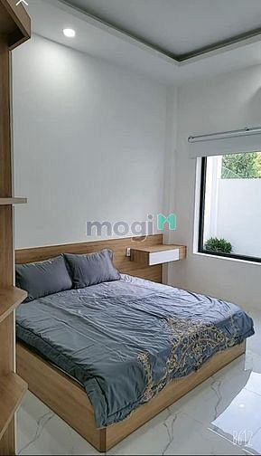 4111350 ảnh đại diện 1