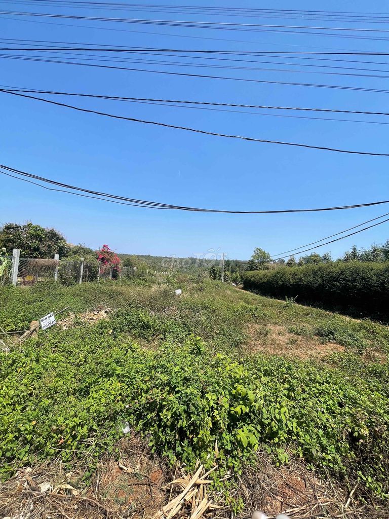 4109931 ảnh đại diện 1