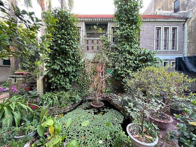 4109723 ảnh đại diện 1