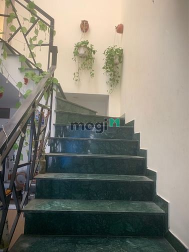 4111005 ảnh đại diện 2