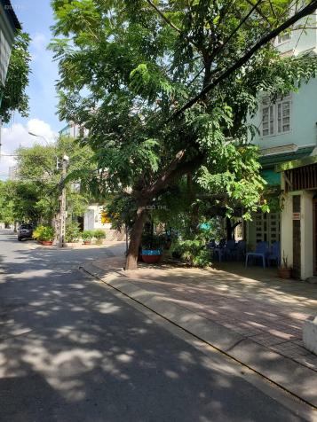4111251 ảnh đại diện 1