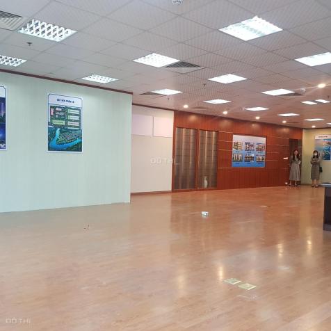 4110253 ảnh đại diện 2