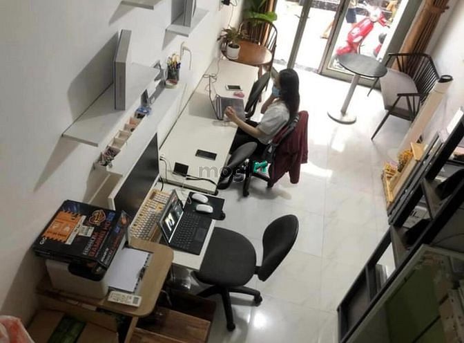 4116904 ảnh đại diện 2