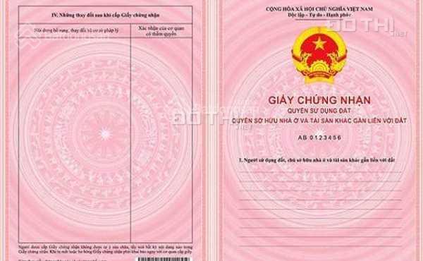 4114956 ảnh đại diện 1