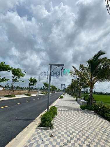 4114669 ảnh đại diện 2