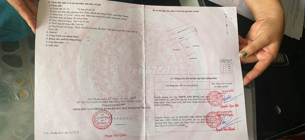 4115082 ảnh đại diện 2