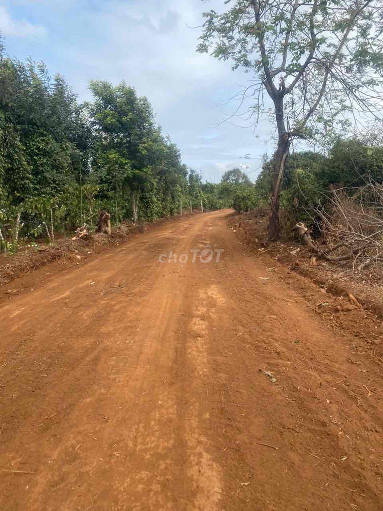 4114809 ảnh đại diện 2