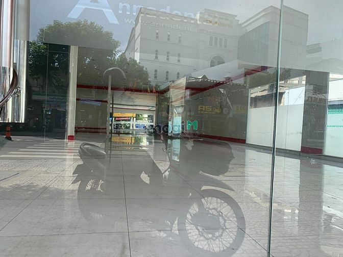 4114763 ảnh đại diện 1