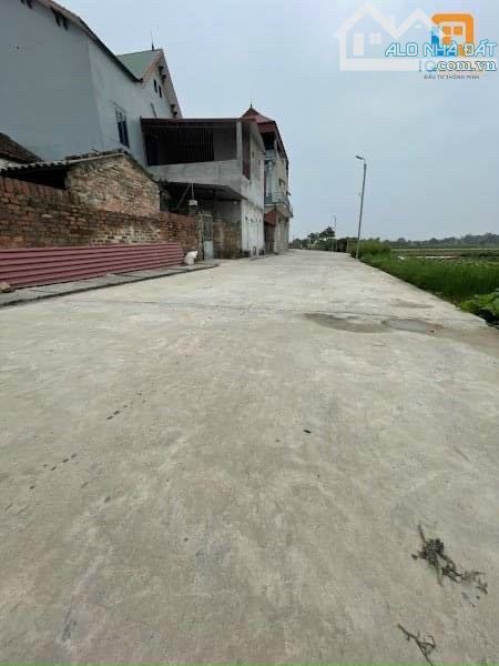 4116403 ảnh đại diện 2