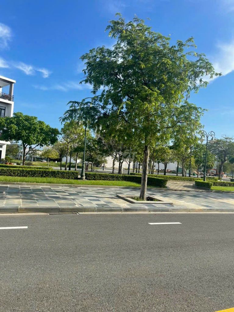 4115082 ảnh đại diện 1