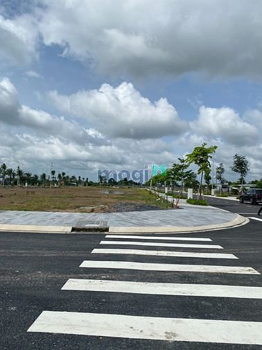 4114669 ảnh đại diện 1