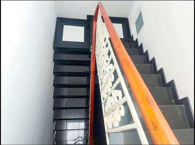 4114805 ảnh đại diện 2