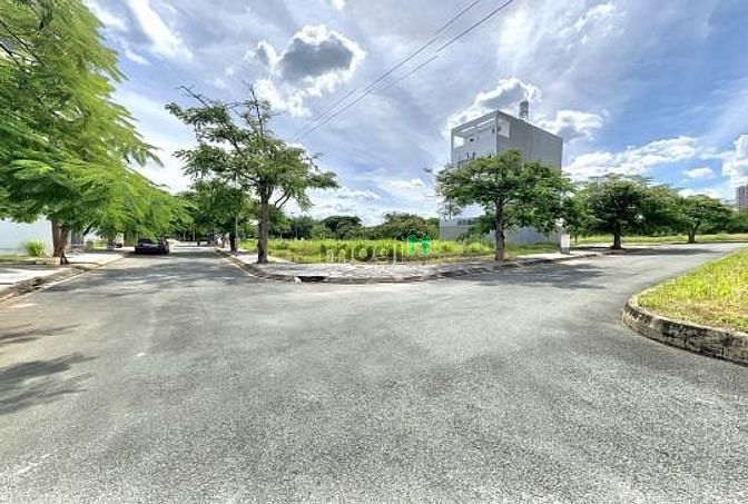 4116348 ảnh đại diện 2