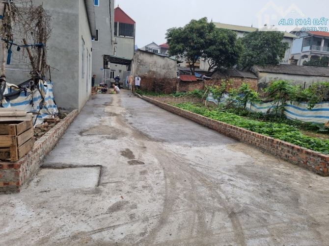 4116402 ảnh đại diện 1