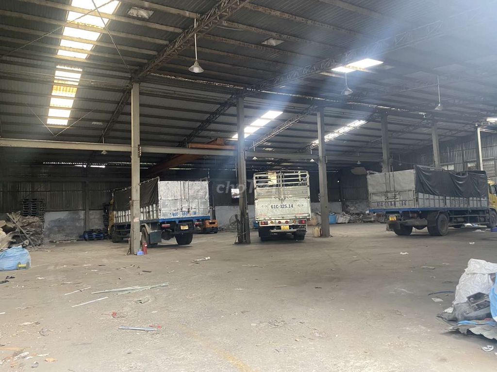 4115903 ảnh đại diện 2
