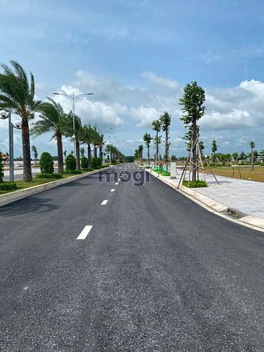 4114657 ảnh đại diện 2