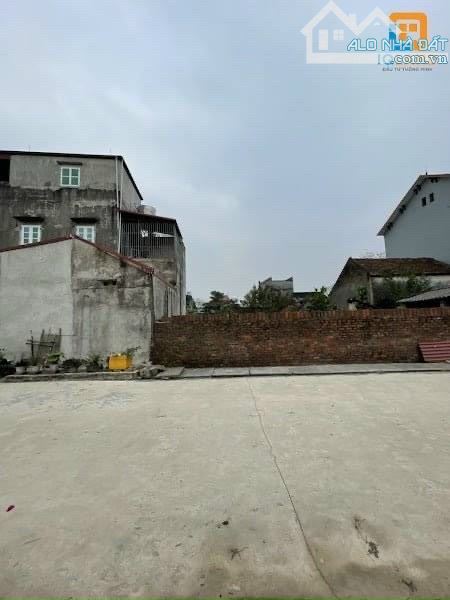 4116403 ảnh đại diện 1