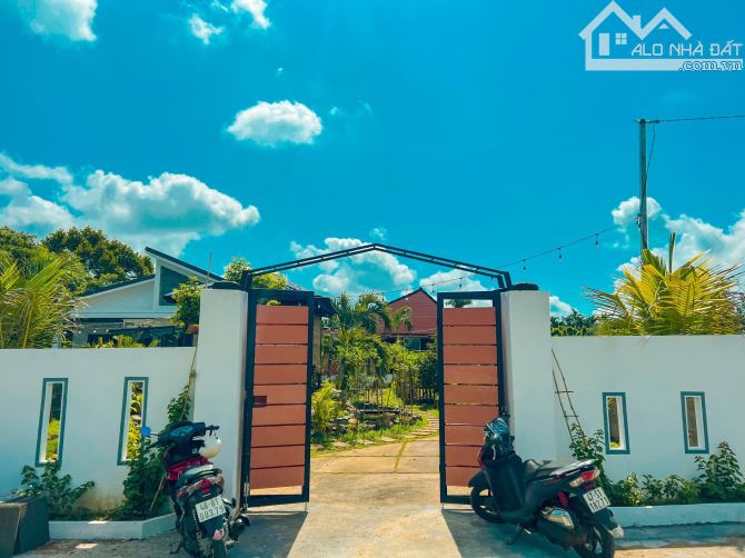4116632 ảnh đại diện 2