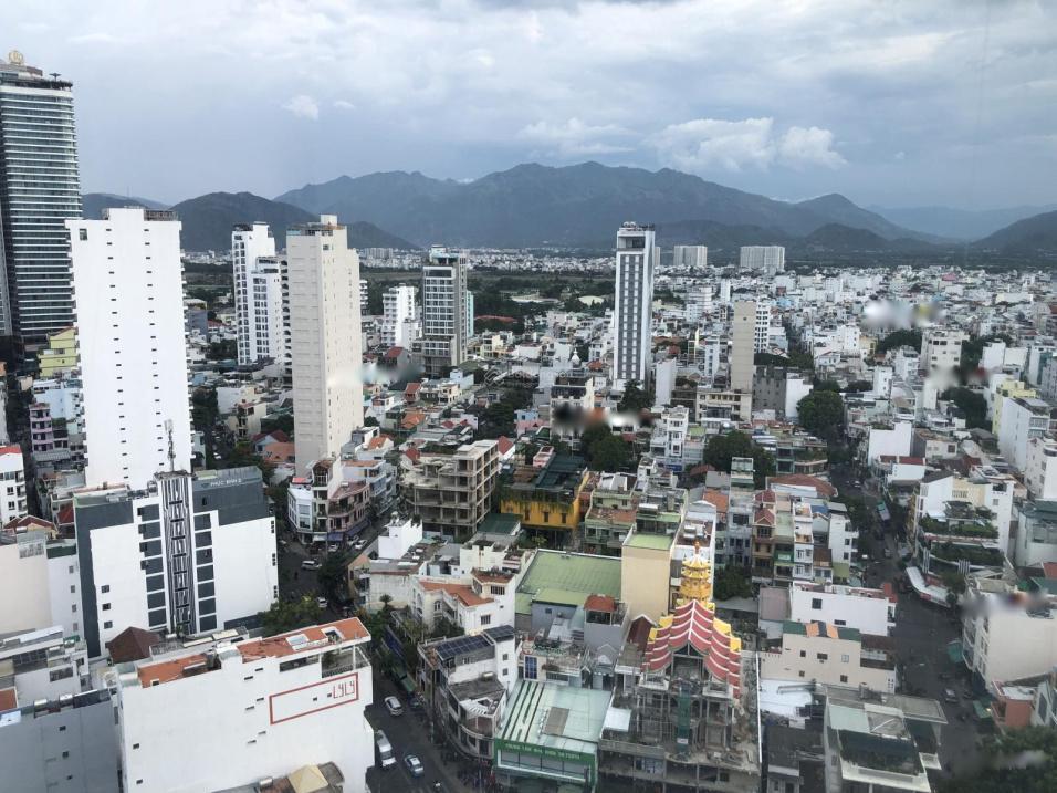 4115524 ảnh đại diện 1