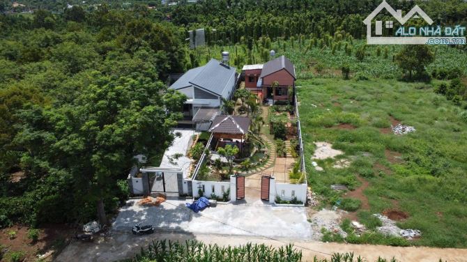 4116632 ảnh đại diện 1