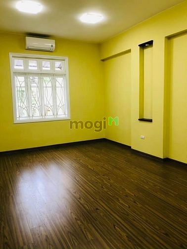 4117801 ảnh đại diện 1