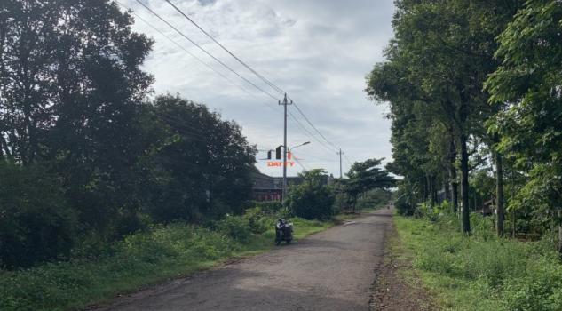 4120316 ảnh đại diện 1