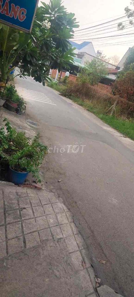 4120167 ảnh đại diện 1