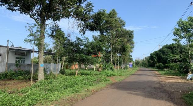 4120316 ảnh đại diện 1