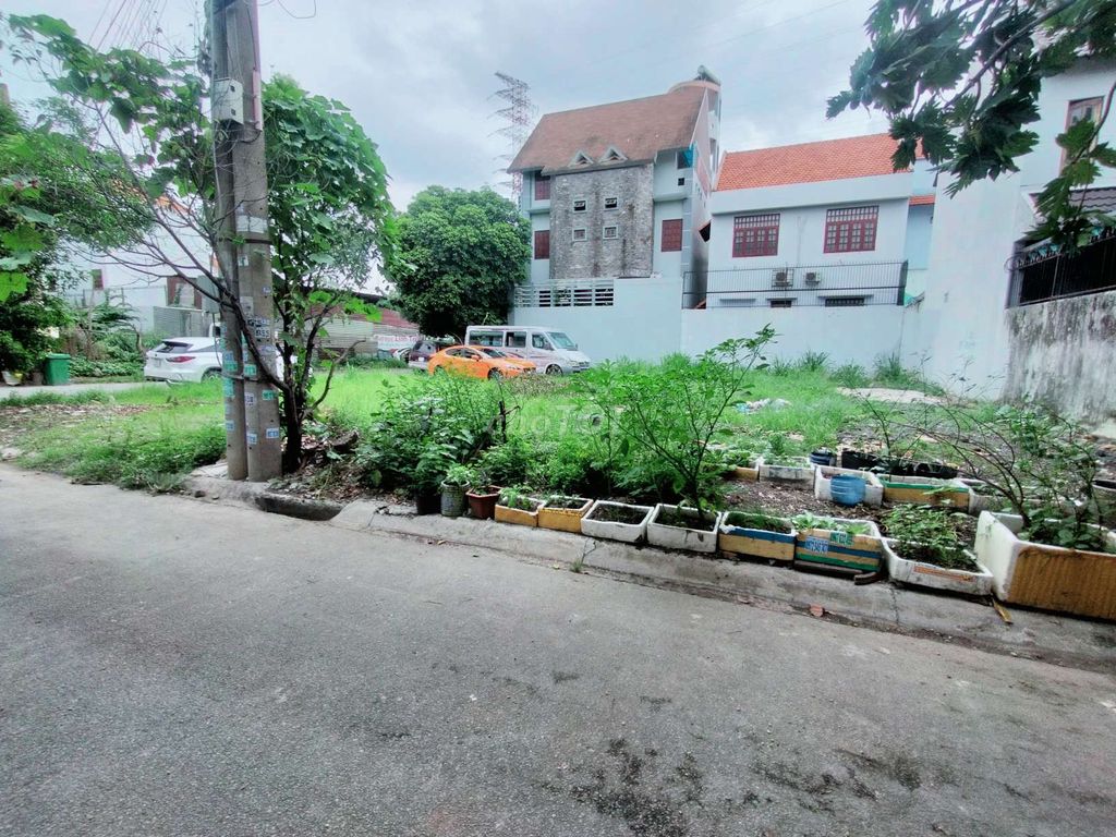 4119270 ảnh đại diện 1