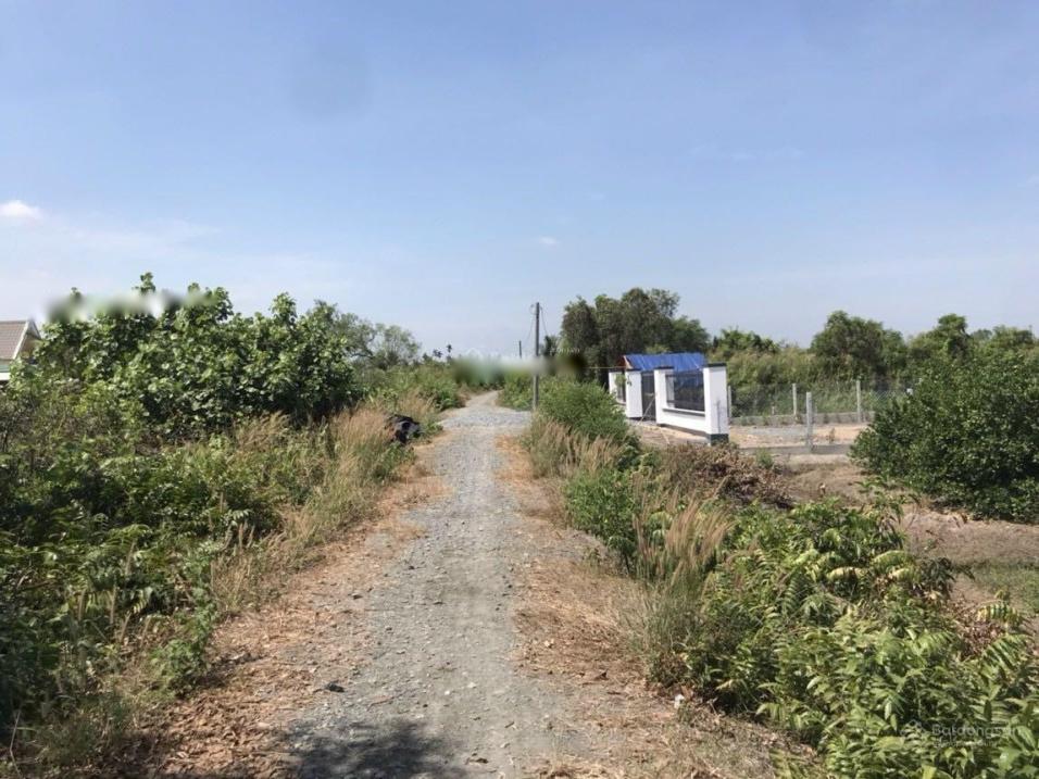 4118657 ảnh đại diện 2