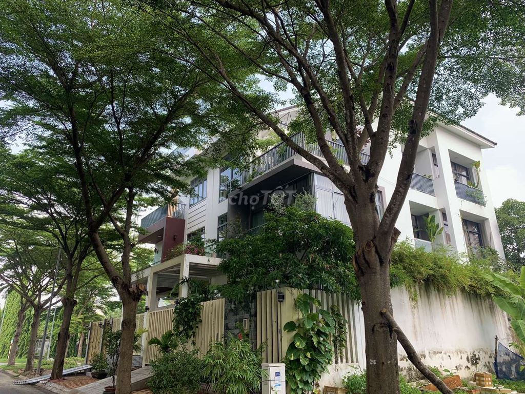 4118617 ảnh đại diện 1