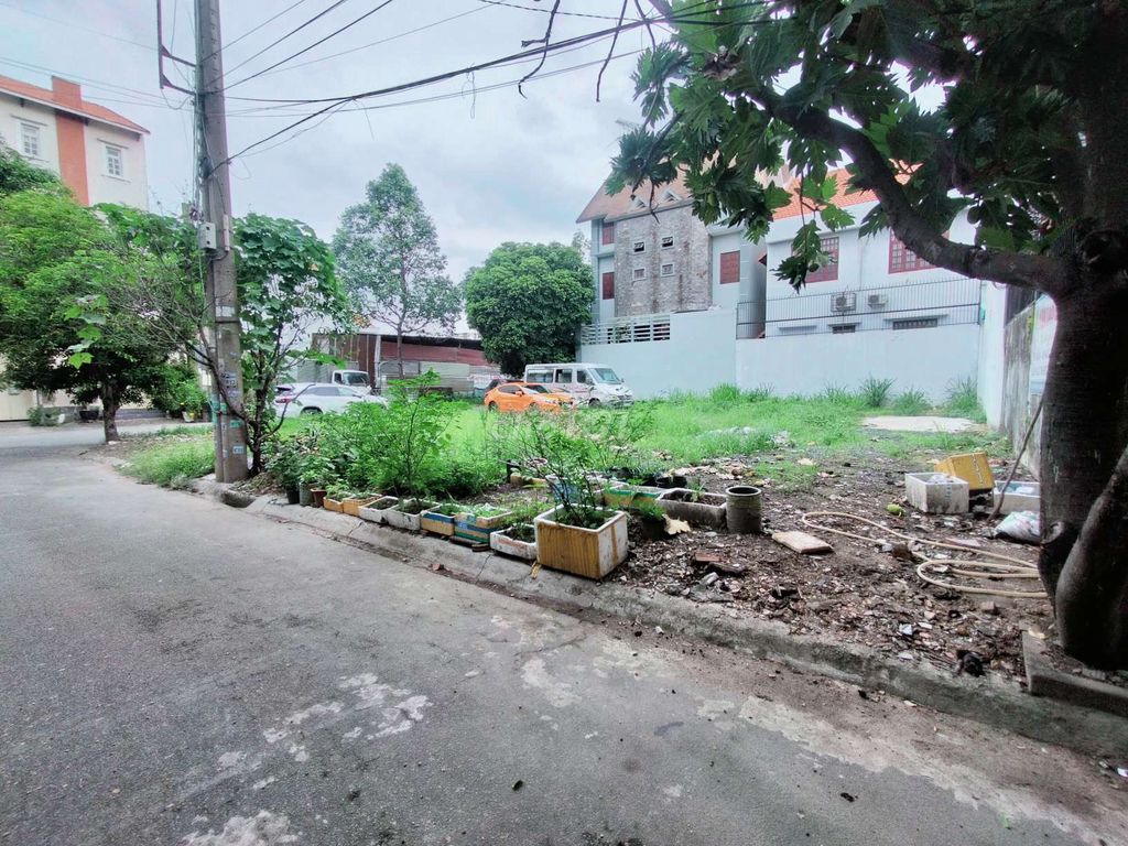 4119270 ảnh đại diện 2