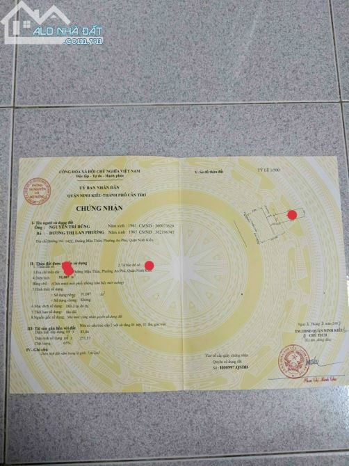 4117721 ảnh đại diện 2