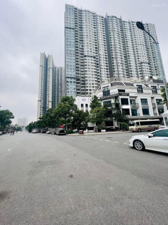 4123487 ảnh đại diện 1