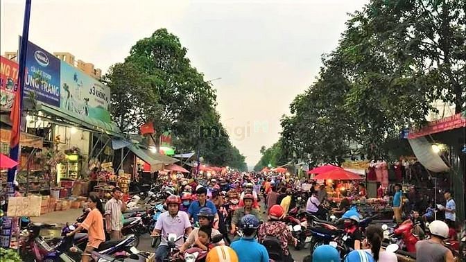 4123083 ảnh đại diện 2