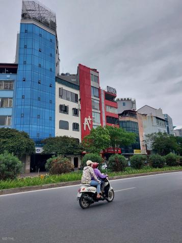 4124064 ảnh đại diện 1
