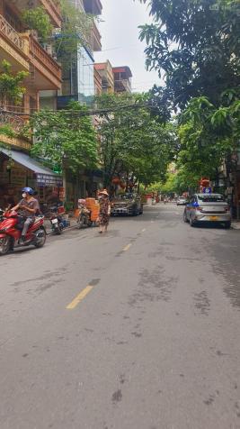 4122642 ảnh đại diện 1