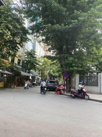 4124099 ảnh đại diện 1