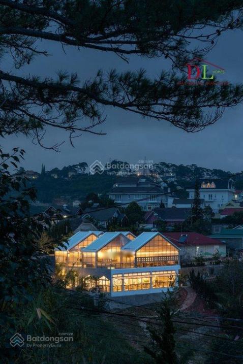 4120676 ảnh đại diện 1