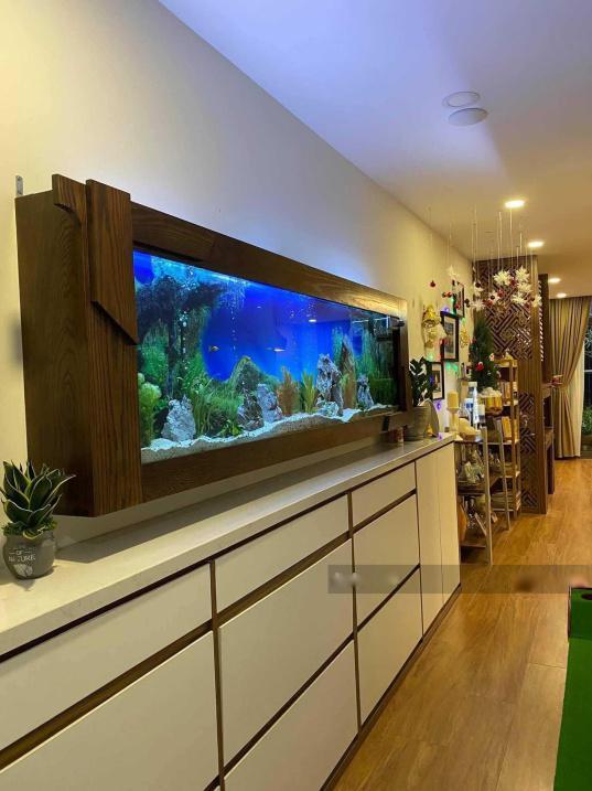 4123480 ảnh đại diện 2