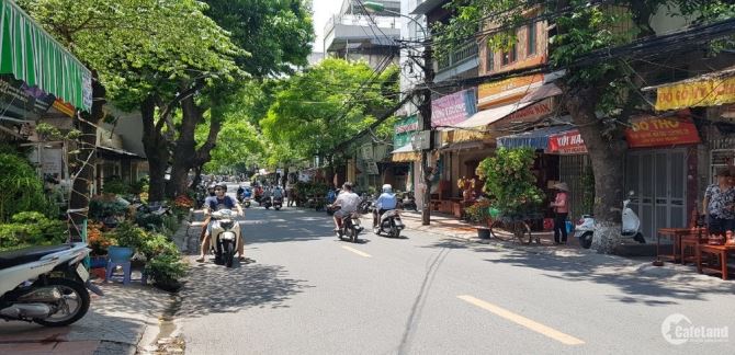 4121906 ảnh đại diện 1