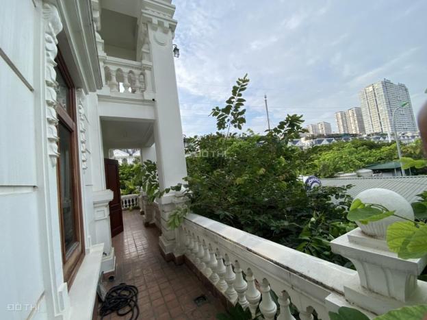 4123947 ảnh đại diện 2