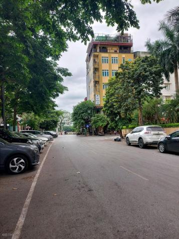4124064 ảnh đại diện 2