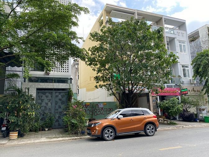 4120941 ảnh đại diện 1