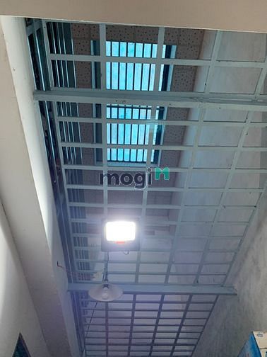 4120882 ảnh đại diện 1
