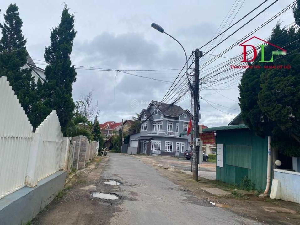 4120676 ảnh đại diện 1