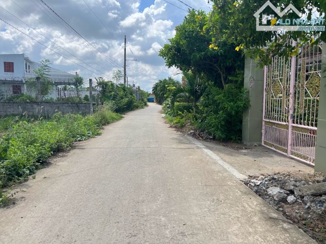 4129699 ảnh đại diện 1