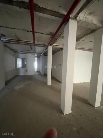 4125843 ảnh đại diện 1