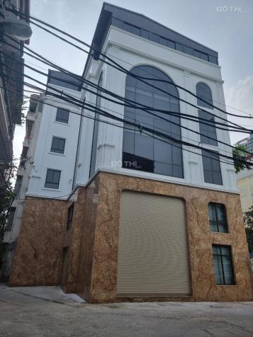4126591 ảnh đại diện 1